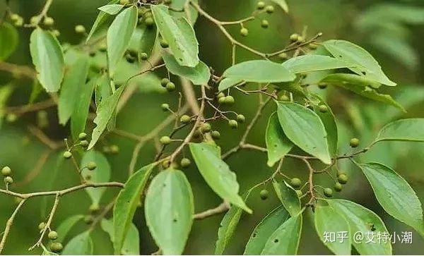 潮汕宵夜_潮汕美食宵夜摊_摊美食潮汕宵夜图片