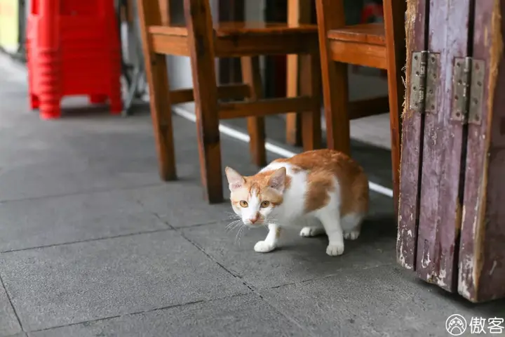 惠州潮汕_惠州地道潮汕美食_惠州的潮汕人