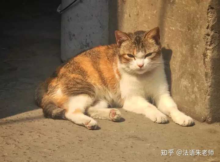 摊美食潮汕宵夜怎么做_潮汕美食宵夜摊_潮汕宵夜