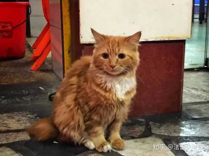 潮汕美食宵夜摊_摊美食潮汕宵夜怎么做_潮汕宵夜