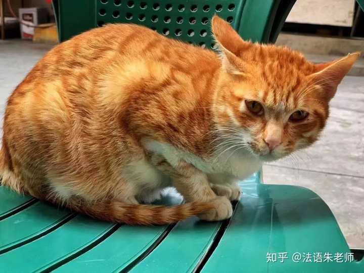 摊美食潮汕宵夜怎么做_潮汕宵夜_潮汕美食宵夜摊