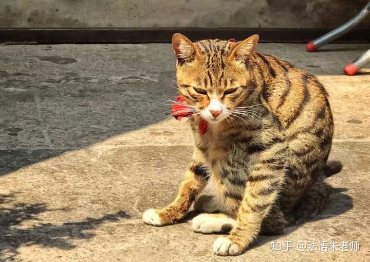 潮汕宵夜_潮汕美食宵夜摊_摊美食潮汕宵夜怎么做
